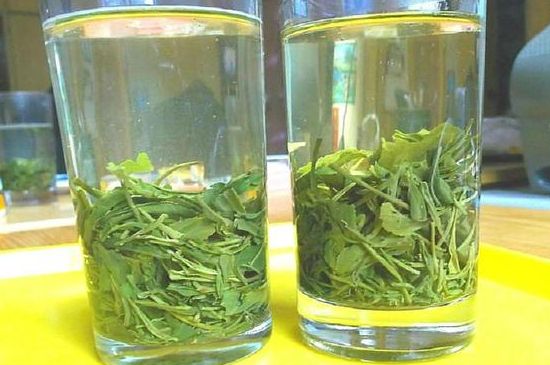 茶葉為什么不能亂送人，買茶葉一次送一盒還是兩盒