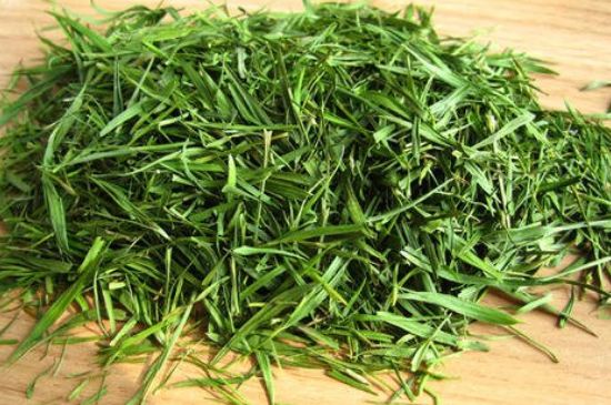 哪類人不適合喝石竹茶，石竹茶的功效與禁忌