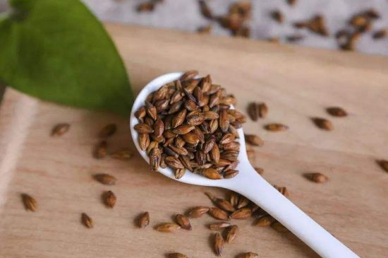 大麥茶上火嗎，喝大麥茶會(huì)不會(huì)上火？