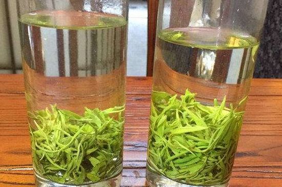 黃金茶的功效及禁忌癥，黃金茶有什么副作用嗎？