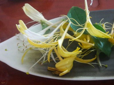 喝茶治口臭嗎，什么茶治口臭好？