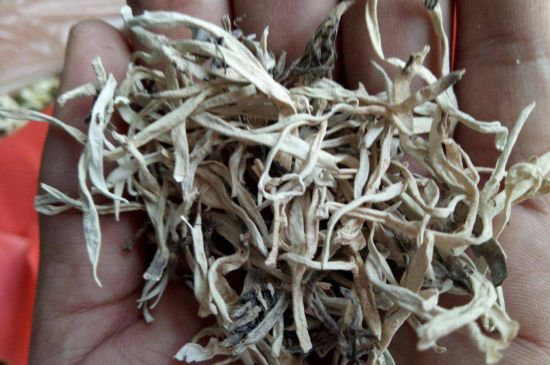 麗江雪茶的禁忌，白雪茶的副作用