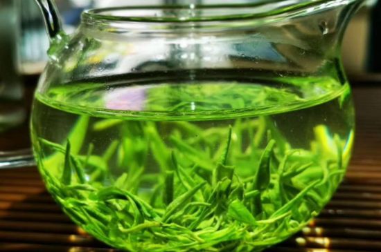 喝黃金茶禁忌，什么人不能喝黃金芽茶？