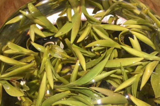 八大茶系都有哪幾種，八大茶系都是什么名字