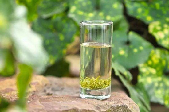 碧螺春沖泡三要素，碧螺春怎么泡才正確？