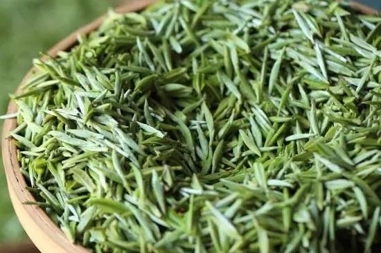 雀舌茶的沖泡方法，怎么沖泡雀舌茶？