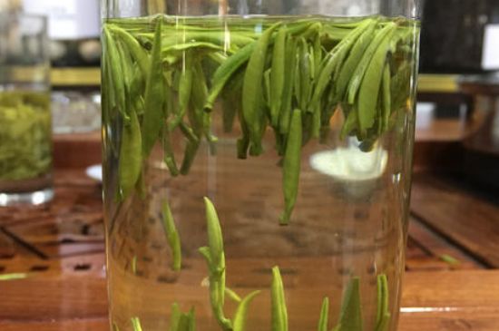 雀舌茶的副作用，雀舌茶什么人不能喝？