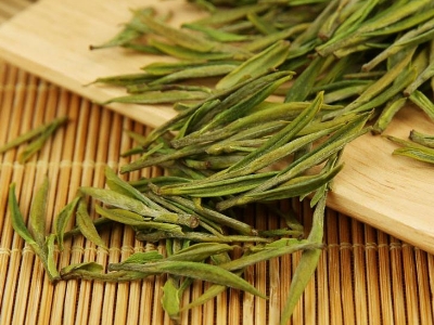 安吉白茶的功效與作用，簡單概括安吉<a href=http://m.hb0335.com/fenlei/baicha/ target=_blank class=infotextkey>白茶功效</a>