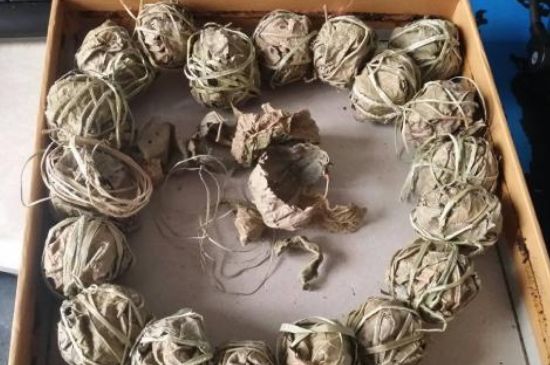 鷓鴣茶用拆開泡嗎，鷓鴣茶要解開繩子泡嗎