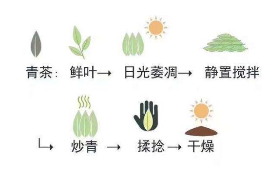 茶葉名稱大全和圖片，茶葉名字大全三四個字！