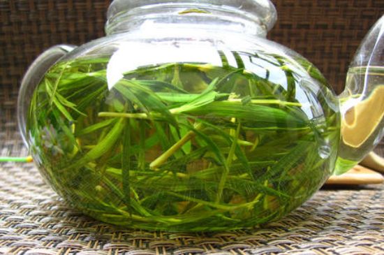 竹葉茶的禁忌，竹葉泡茶的功效禁忌