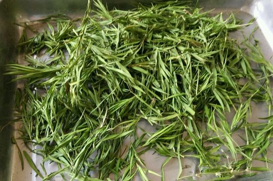 哪類人不適合喝石竹茶，石竹茶的功效與禁忌