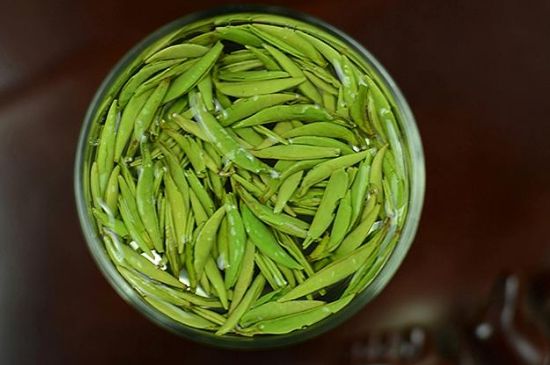 雀舌茶什么人不能喝，雀舌茶的功效與禁忌