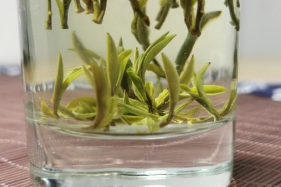 黃山毛峰怎么沖泡，黃山毛峰要多少溫度的水泡？