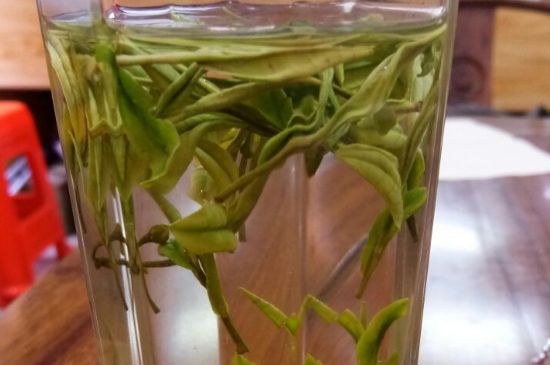 云霧綠茶的功效及禁忌，哪些人不適合喝云霧茶