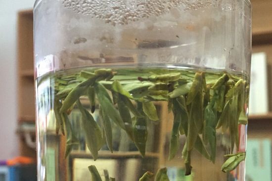 煮茶器能煮龍井嗎，龍井茶能不能用煮茶器圖