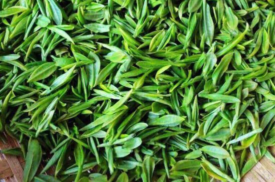 云霧綠茶的功效及禁忌，哪些人不適合喝云霧茶