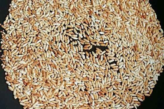 玄米茶是紅茶嗎，玄米茶怎么喝