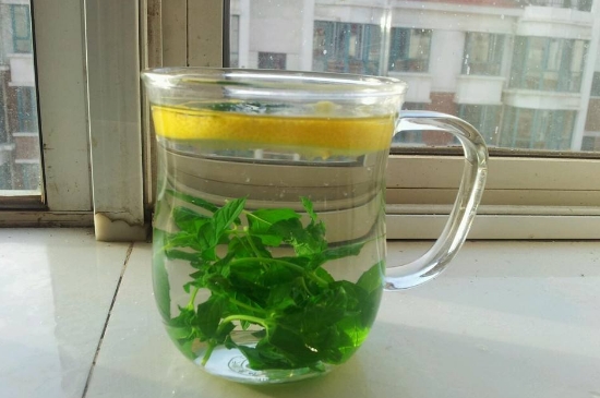 薄荷茶的功效與作用，喝薄荷茶有什么好處？