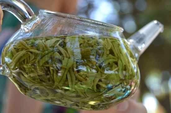 新手學(xué)泡茶的基本常識(shí)，從零開始學(xué)泡茶