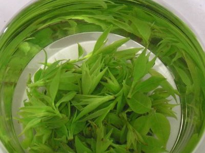 茶葉具有什么功效，茶葉的功效與作用大全