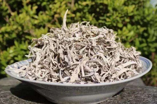 麗江雪茶的功效與作用，白雪茶有什么功效和作用