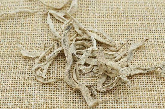 麗江雪茶的功效與作用，白雪茶有什么功效和作用