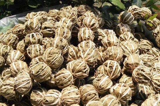 鷓鴣茶的禁忌，海南鷓鴣茶副作用