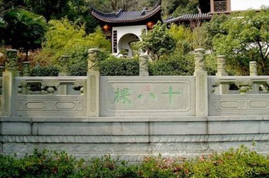 世界最貴的茶葉排行榜，十大最貴的茶