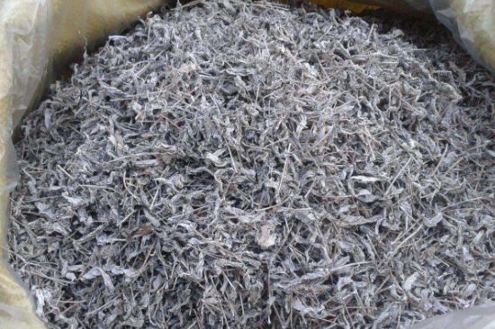 怎樣辨別莓茶發(fā)霉了，莓茶發(fā)霉和白霜的區(qū)別