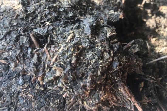 茯茶可以放在冰箱里存放嗎，茯磚茶如何儲(chǔ)存？