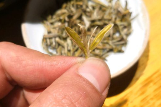 六大茶類哪種適合長期存放，日常如何保存方法一覽？