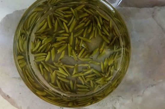 茶葉在哪里買比較好，哪里能買到好的茶葉