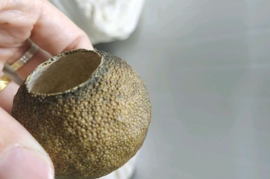 小青柑多少錢一盒，新會(huì)小青柑普茶價(jià)格一斤多少