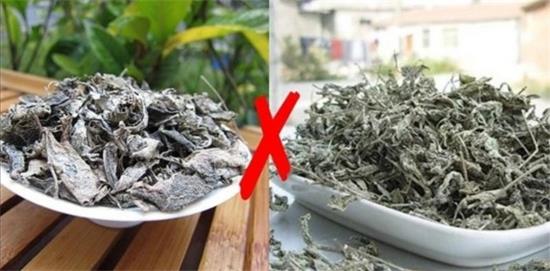 張家界茅巖莓茶與藤茶是同一種茶嗎，藤茶跟莓茶一不一樣？