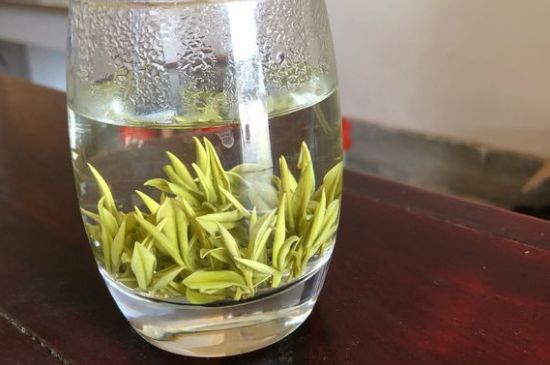 安吉白茶耐寒嗎，白茶適合放冰箱嗎