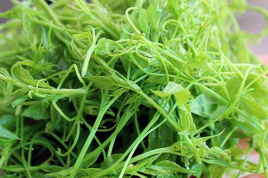 茅巖莓茶別名是什么，莓茶別名叫藤茶嗎？