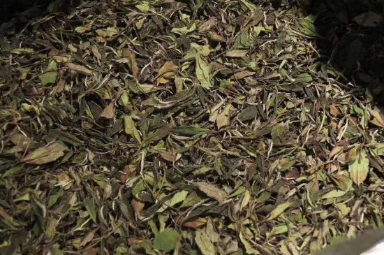 陳茶還是新茶好，茶葉是新茶好喝還是陳茶好喝