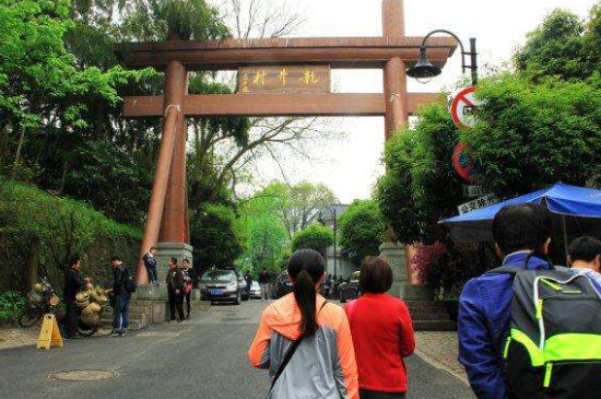 杭州買龍井茶攻略，怎么買到正宗的西湖龍井？