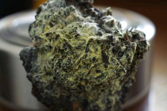 涇渭茯茶保質(zhì)期多久，陜西涇渭茯茶能放幾年