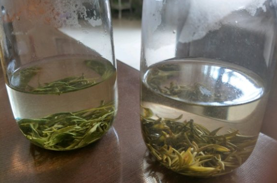 真假碧螺春泡水后區(qū)別，蘇州洞庭碧螺春怎樣鑒別好壞？