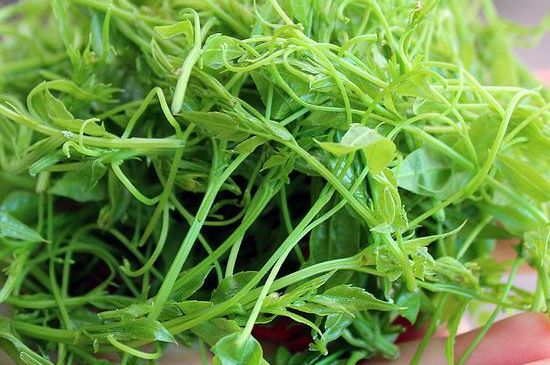 茅巖莓茶保質(zhì)期有多久，張家界莓茶存放時(shí)間長(zhǎng)了還能喝嗎？