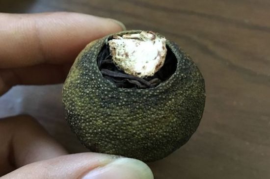 怎么知道小青柑是真的假的圖片，如何區(qū)分真假新會(huì)小青柑