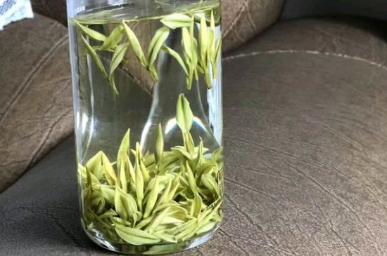 安吉白茶夏天怎么保存，安吉白茶能冷凍儲(chǔ)存嗎？