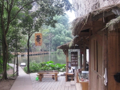 實體店買茶葉的技巧，新手買茶須知