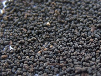 圓形顆粒狀茶是什么茶，像飼料一樣一粒粒的是什么茶？