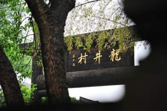 杭州買龍井茶攻略，怎么買到正宗的西湖龍井？