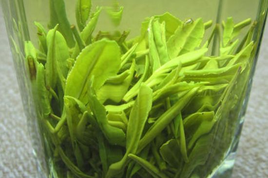 哪種茶葉可以放冰箱，哪些茶不能放冰箱？