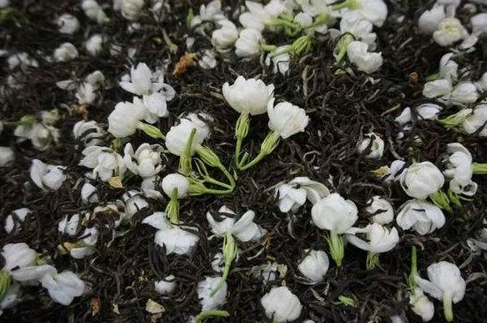 茉莉龍珠怎么做的，茉莉龍珠的制作工藝