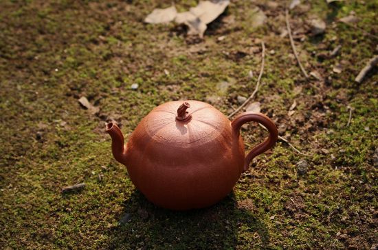 紫砂壺泡什么茶最佳，紫砂壺一般泡什么茶？